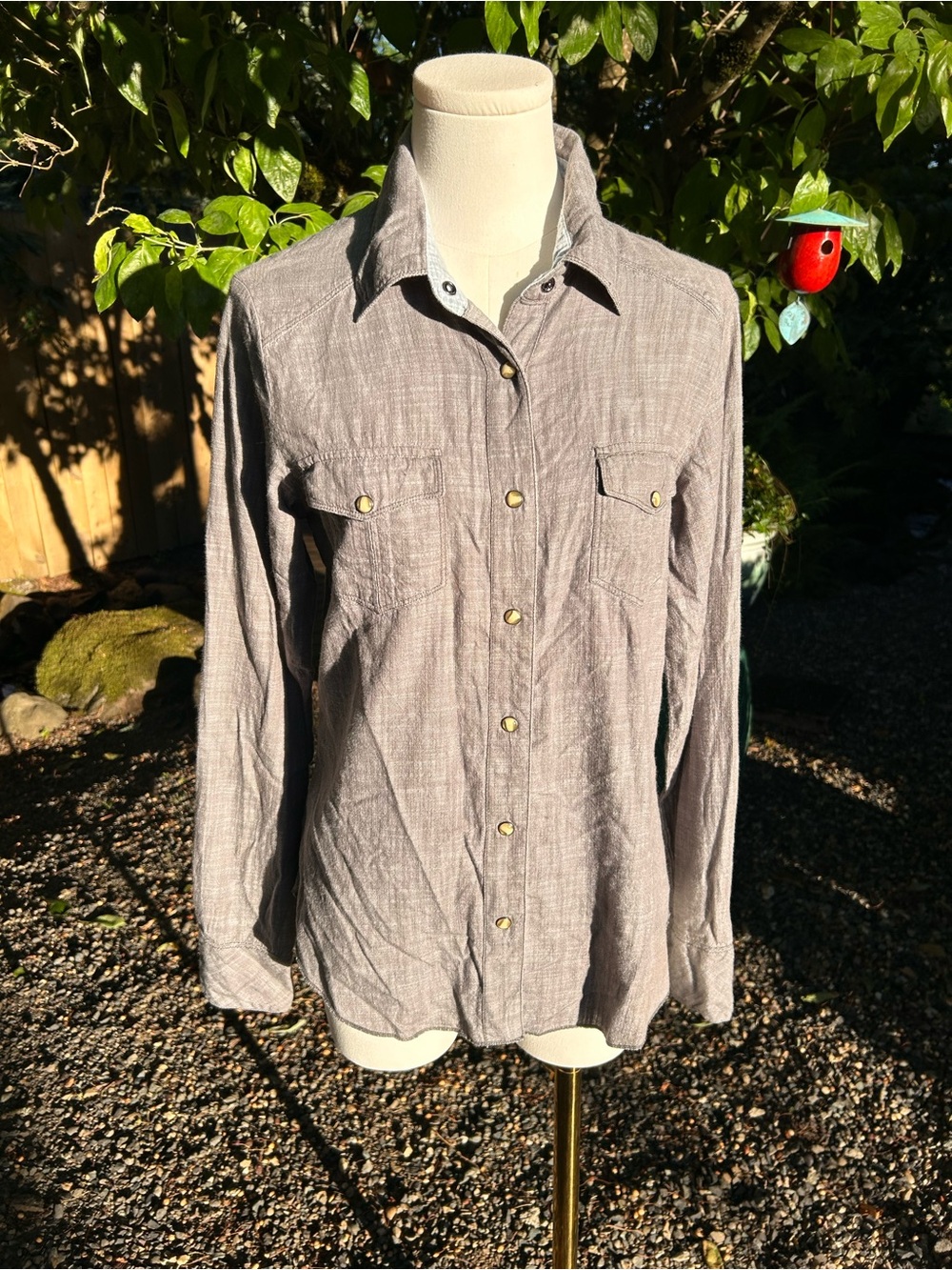 Elements Button-Up Shirt in Gray with Light Blue Trim